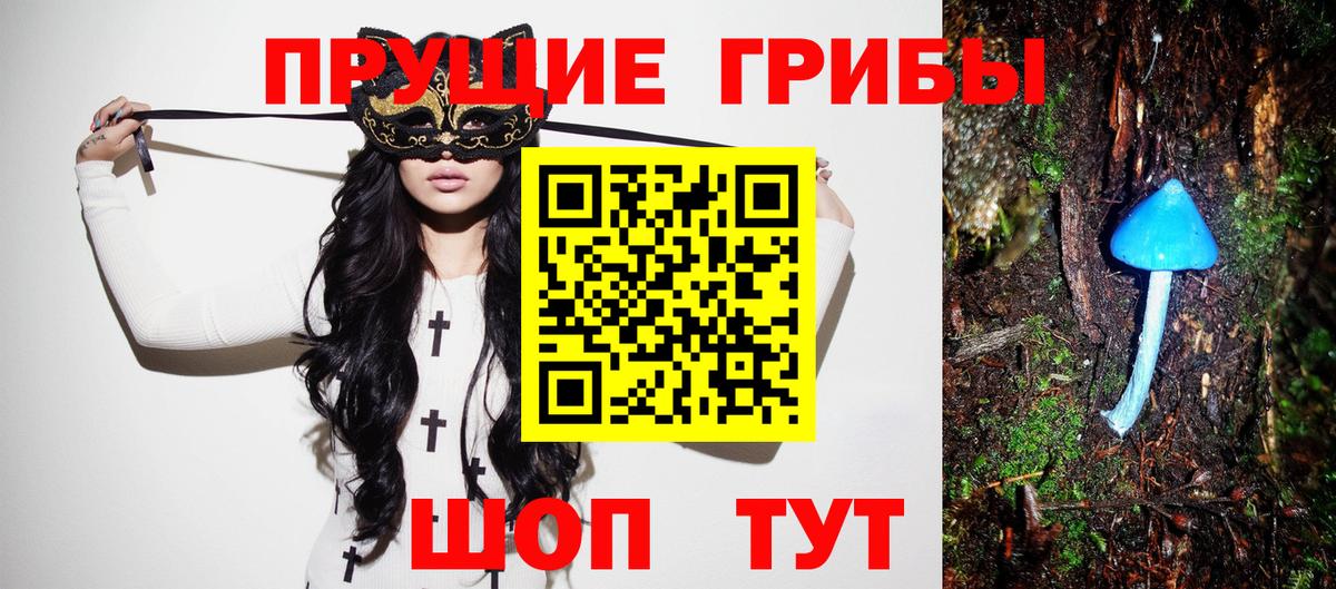Псилоцибиновые грибы мицелий Геленджик
