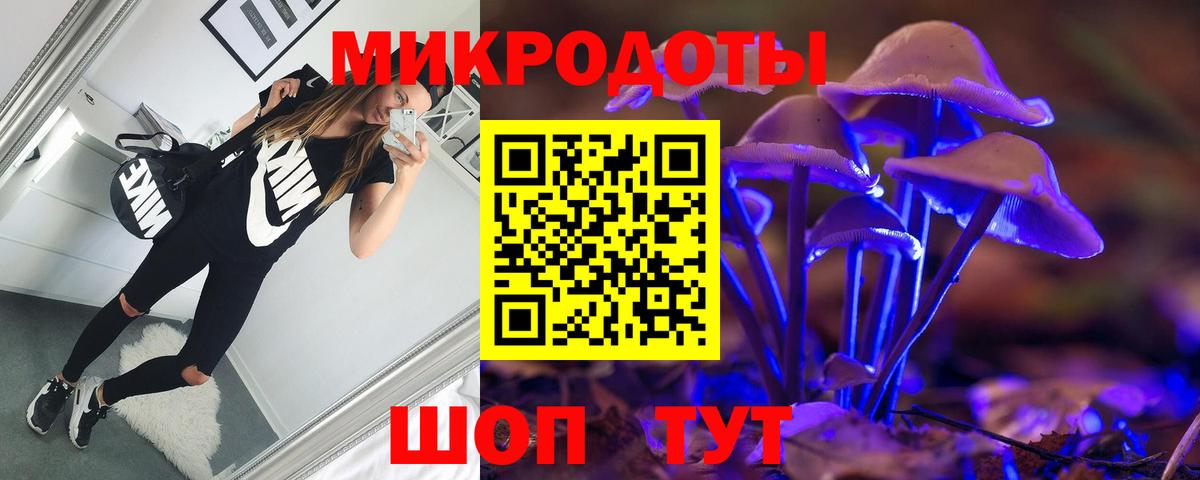 как найти наркотики  Вход с VPN  Геленджик  Псилоцибиновые грибы GOLDEN TEACHER  Псилоцибиновые грибы GOLDEN TEACHER 