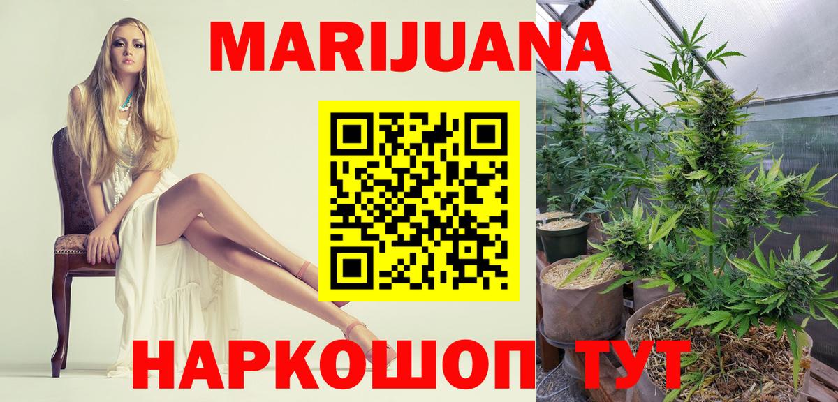 Конопля марихуана Геленджик